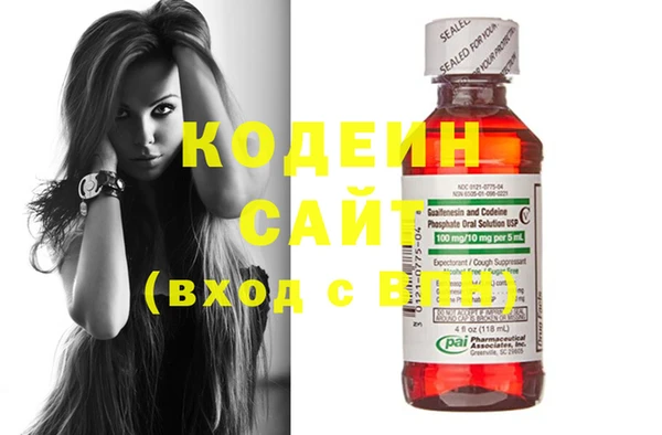 гидра Вязьма