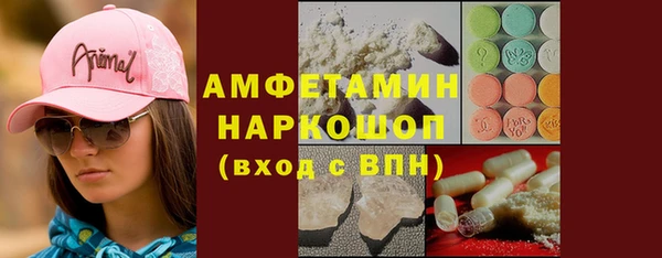 apvp Вяземский