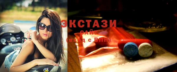 гидра Вязьма