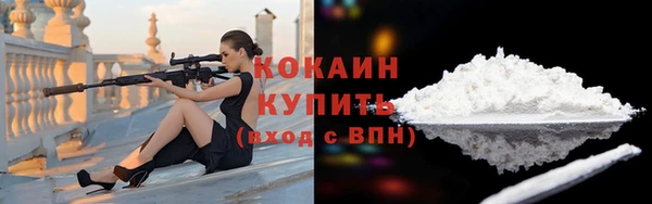 гидра Вязьма
