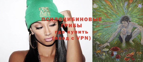 стаф Верхний Тагил