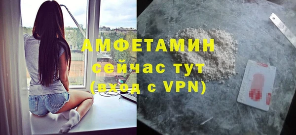 гидра Вязьма