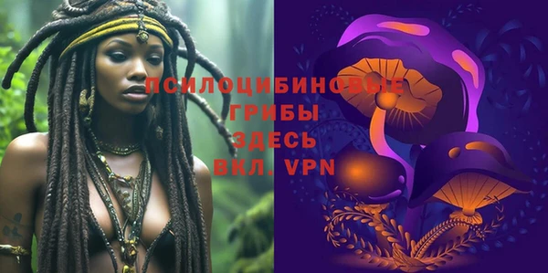 apvp Вяземский