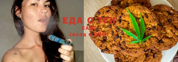 гидра Вязьма