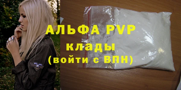 гидра Вязьма