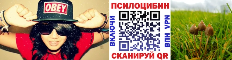 Галлюциногенные грибы MAGIC MUSHROOMS  Еманжелинск 
